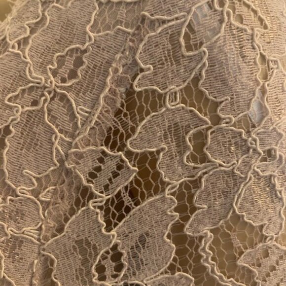 Diane von Furstenberg Mini Dress Zarita Lace beige-mauve; Size 8 - Picture 7 of 15